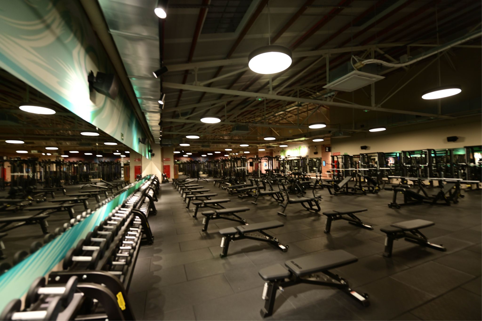Dreamfit